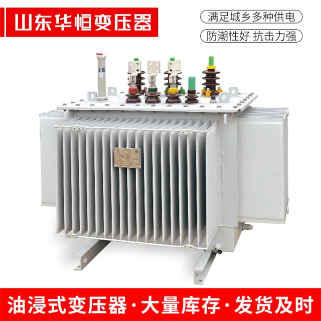 S13-10000/35金牛金牛金牛电力变压器